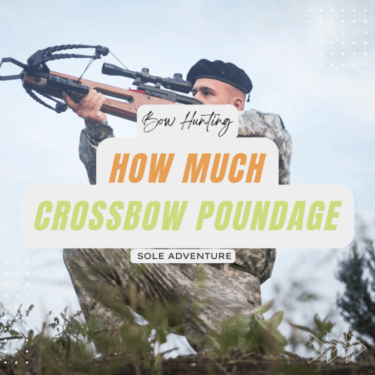 What crossbow poundage do you need to hunt deer?