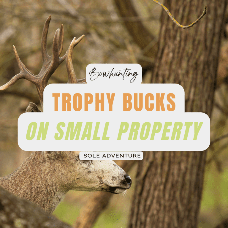 How to Attract and Hold Trophy Bucks on a Small Property