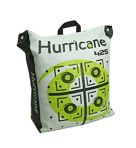 2. Hurricane Bag Archery Target