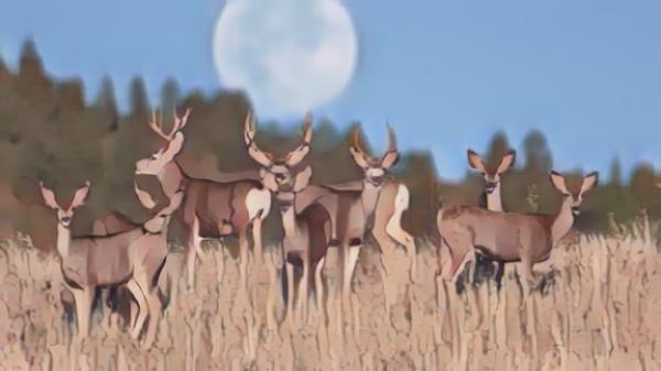 a-deer-standing-in-the-grass-with-a-full-moon-in-the-background-3