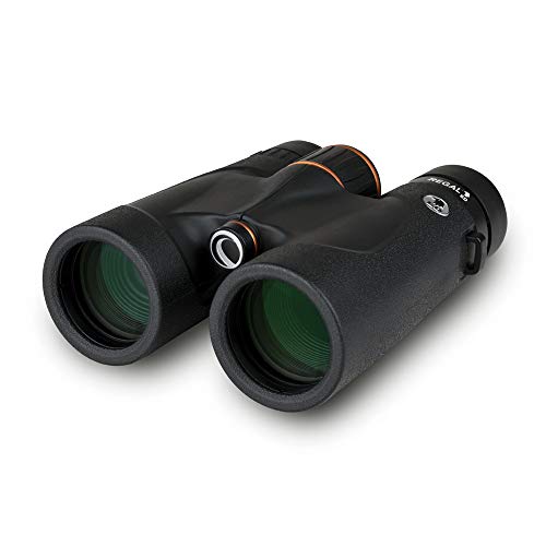 4. Celestron Regal ED 10x42 Binoculars