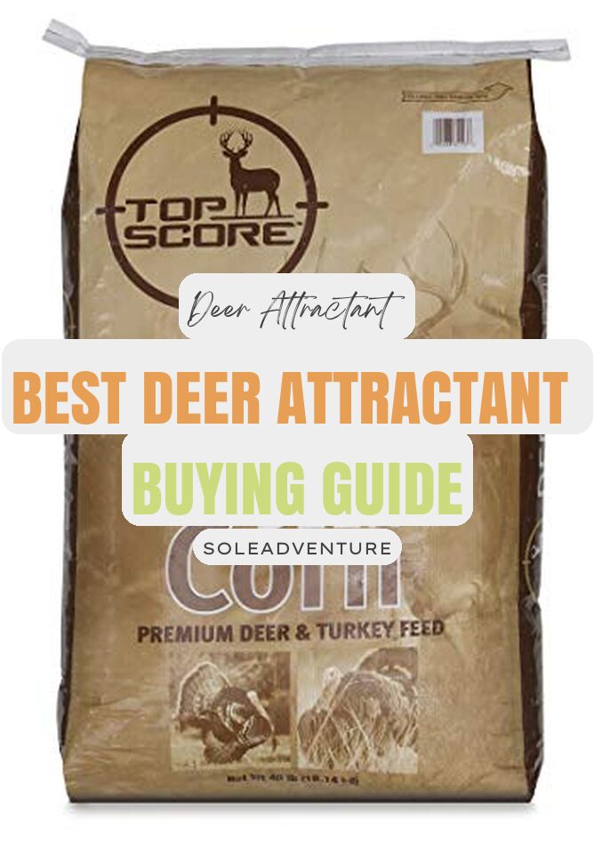Best Deer Attractant of 2023 – Buyer’s Guide and Reviews