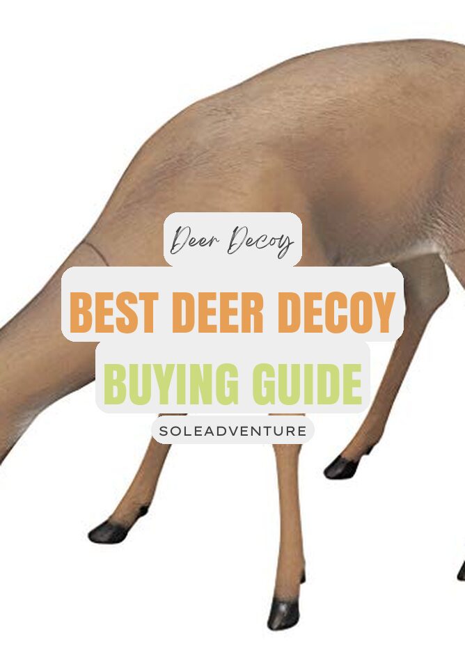 best-deer-decoy